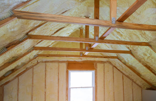 Best Insulation Repair Services  in Seeley Lake, MT